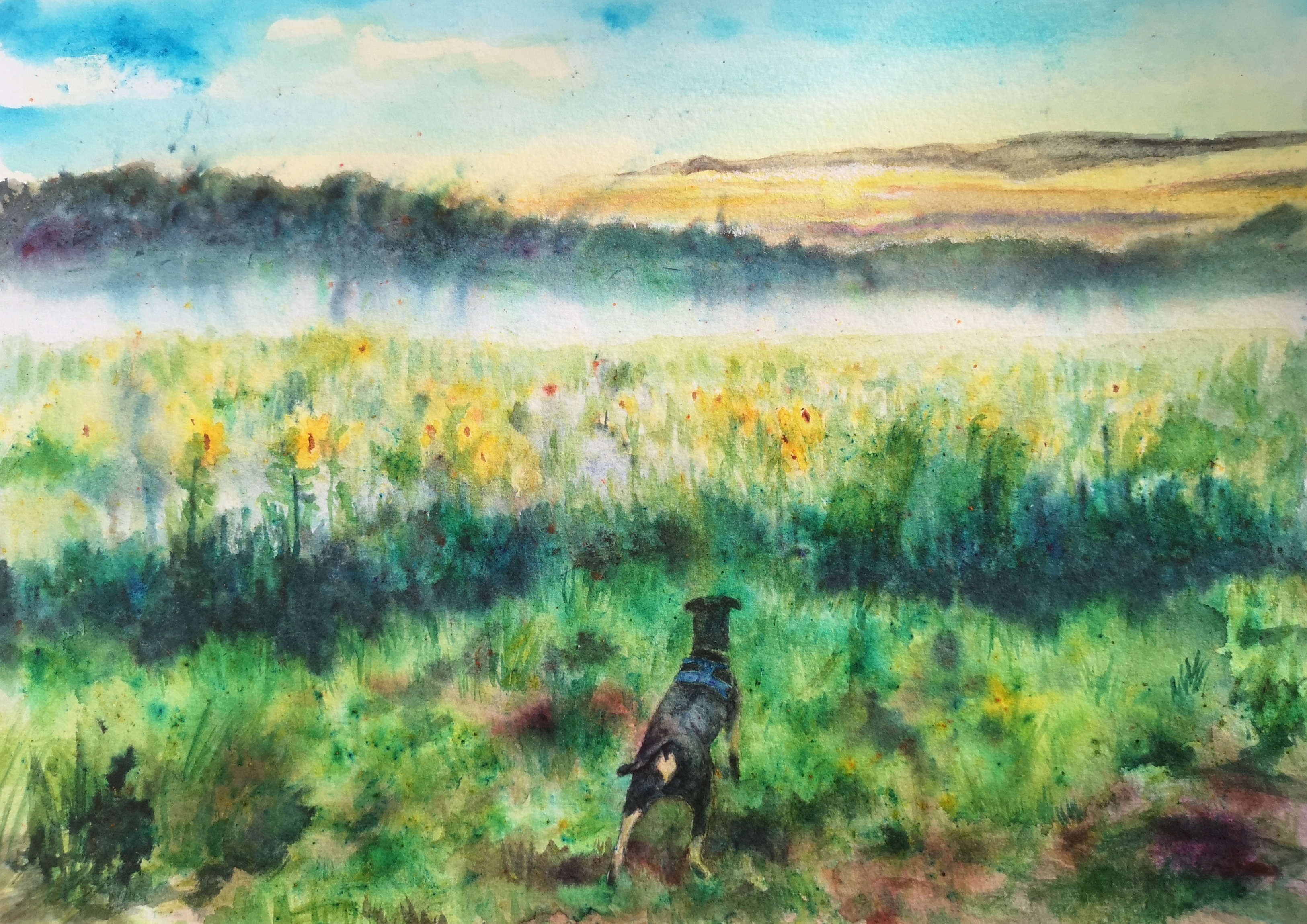 Quiet Walk