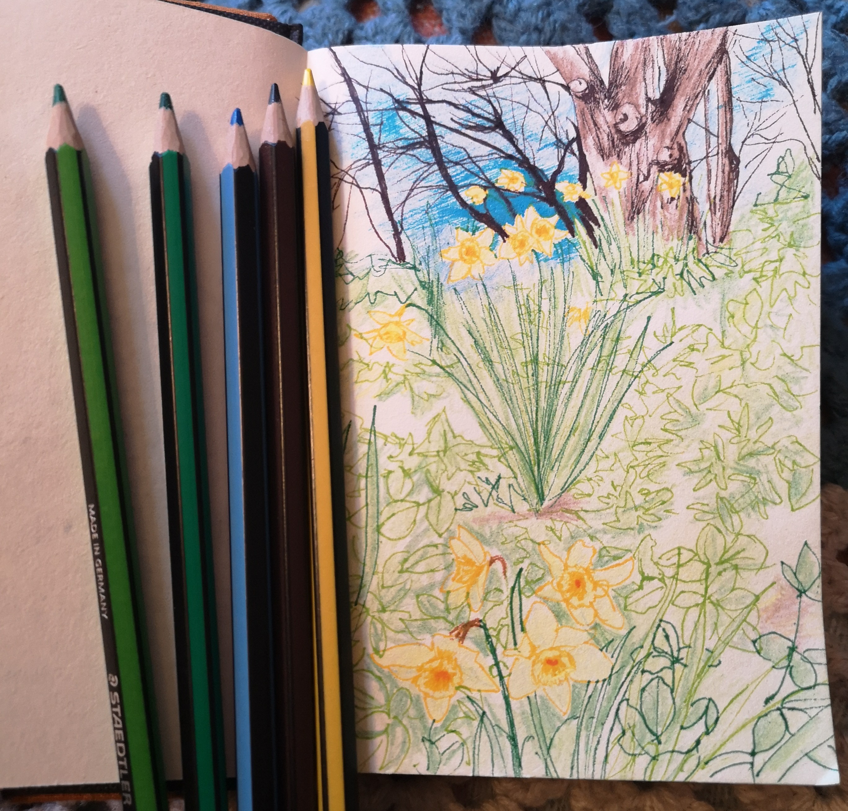 daffodils