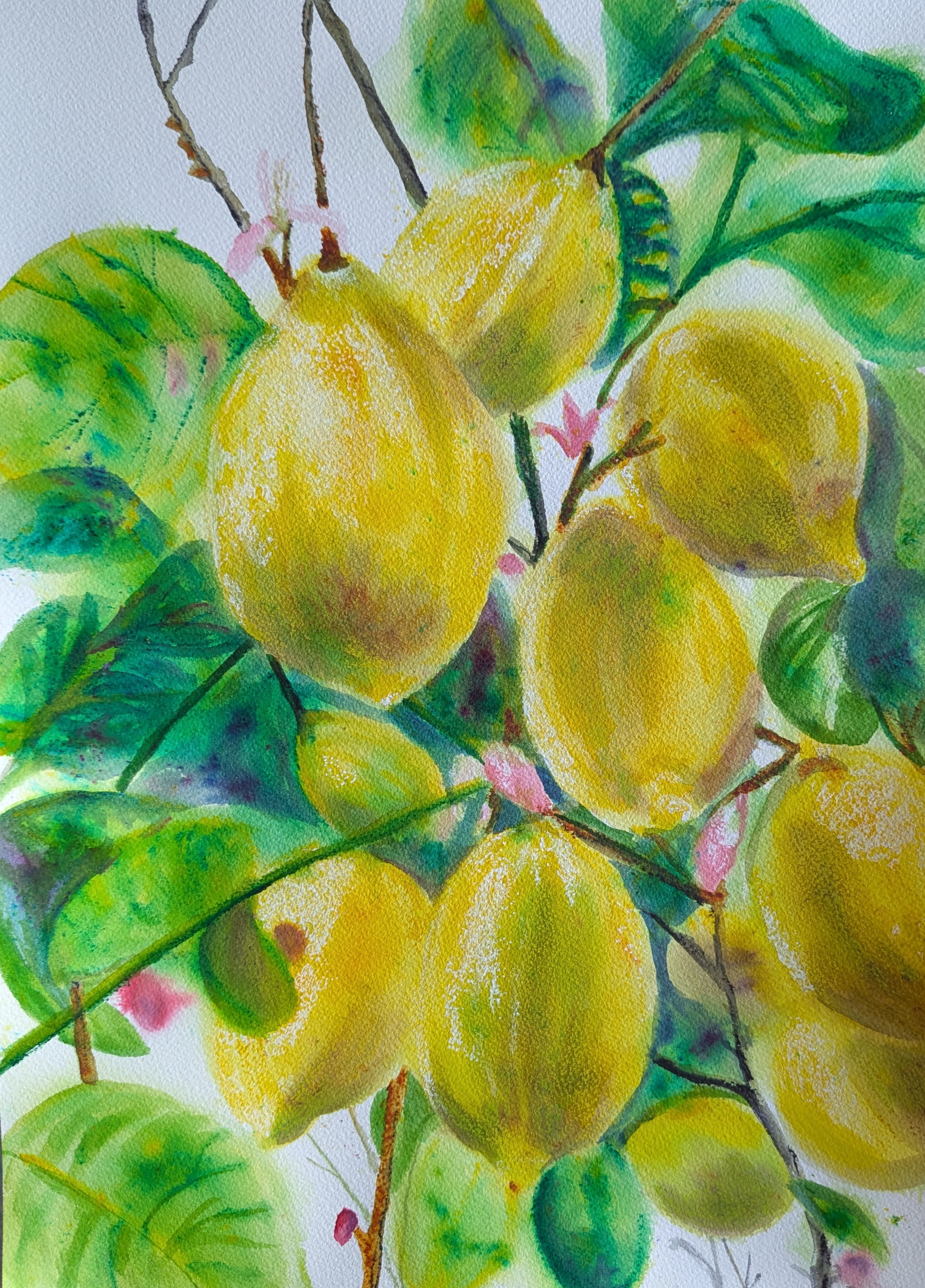 Lemons painting