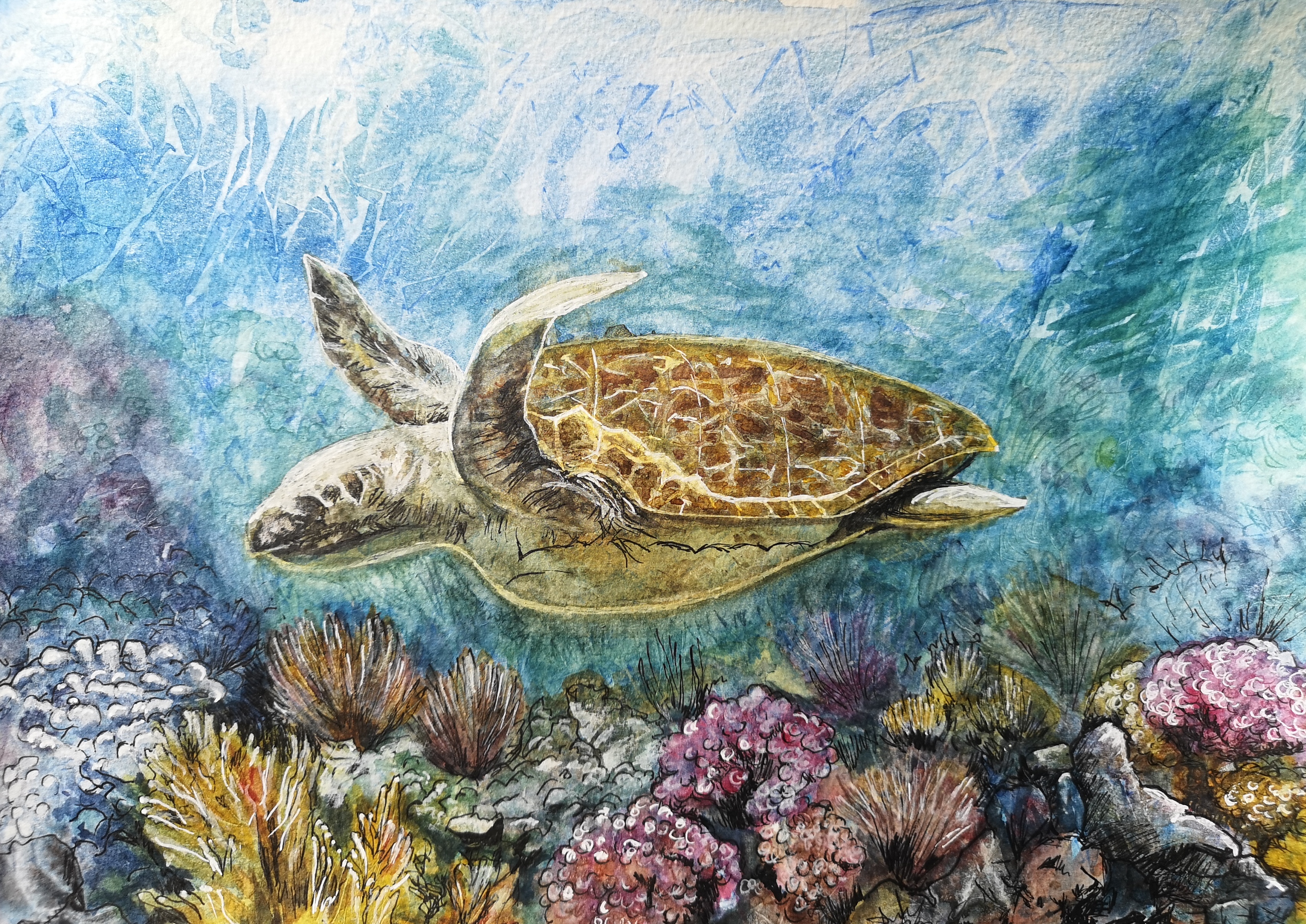 A Turtle's Journey painting