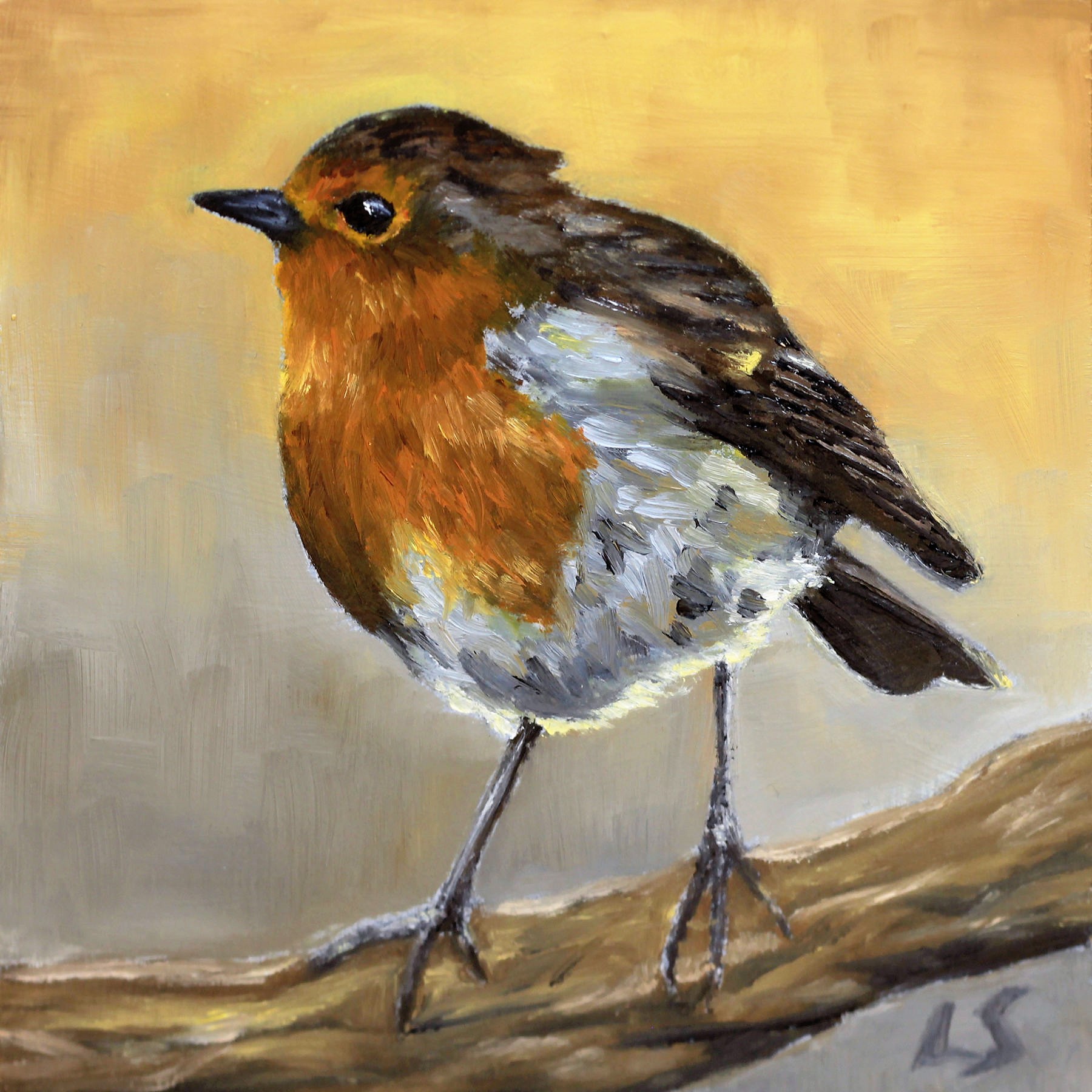 birds1
