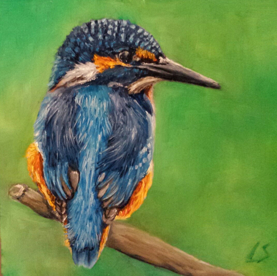 birds6