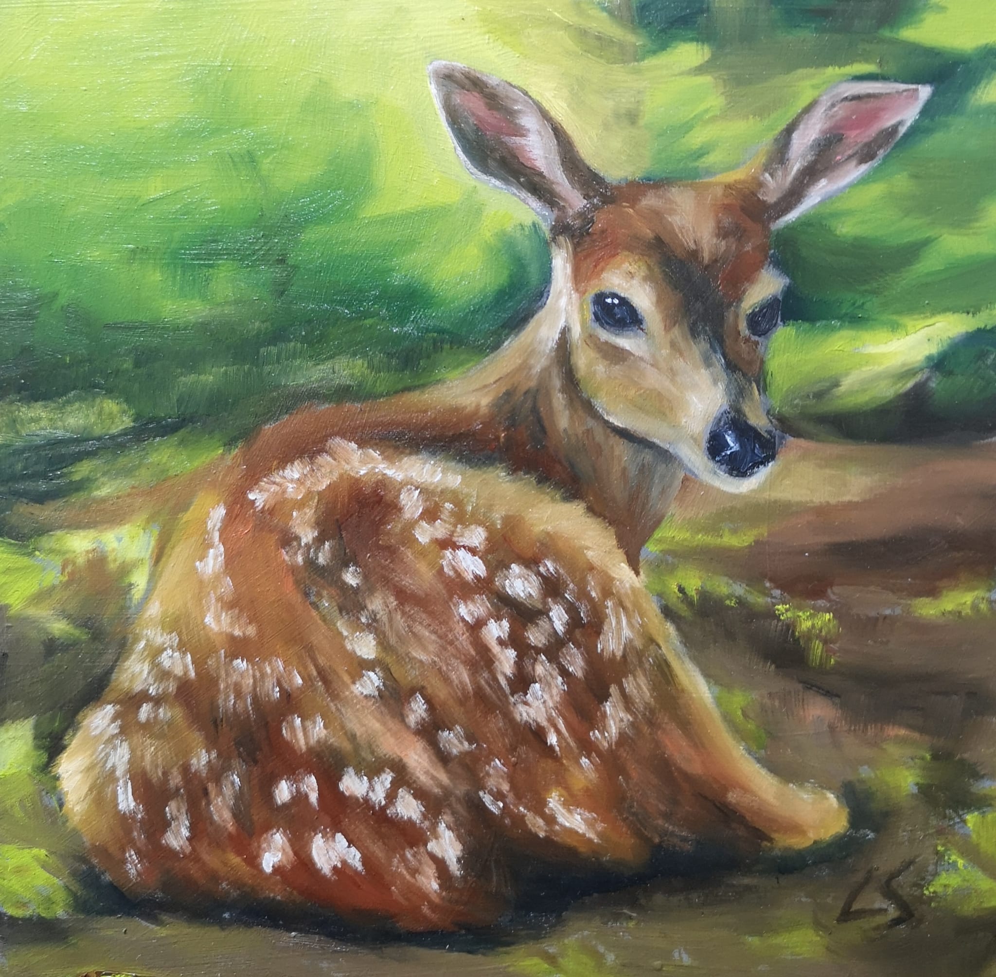 deer